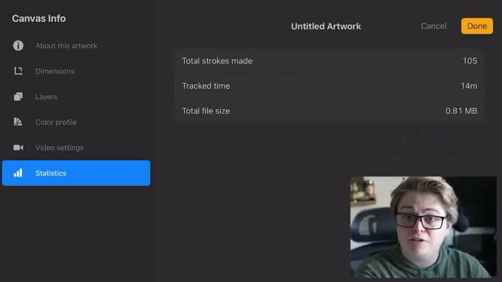 Procreate canvas information screen showing statistics for a beginner canvas