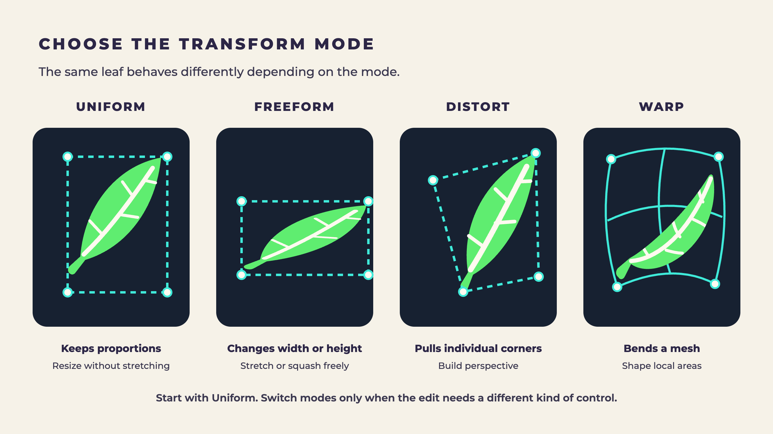 Comparison of Uniform, Freeform, Distort, and Warp transformations applied to the same leaf shape